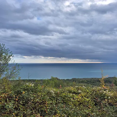 Detelina 2025 빌라 발치크