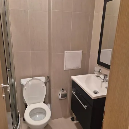 Detelina 2025 빌라 발치크